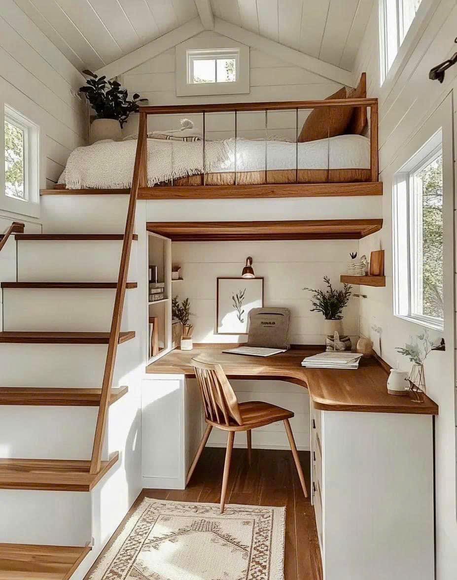 Nội Thất Giường Tầng - Hình 4